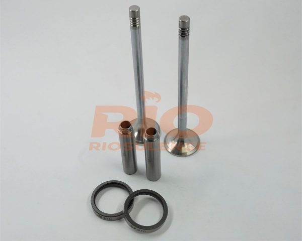 KIT DE VALVULA + GUIA + SEDE ESC DC13 24V EURO 5 30 STD